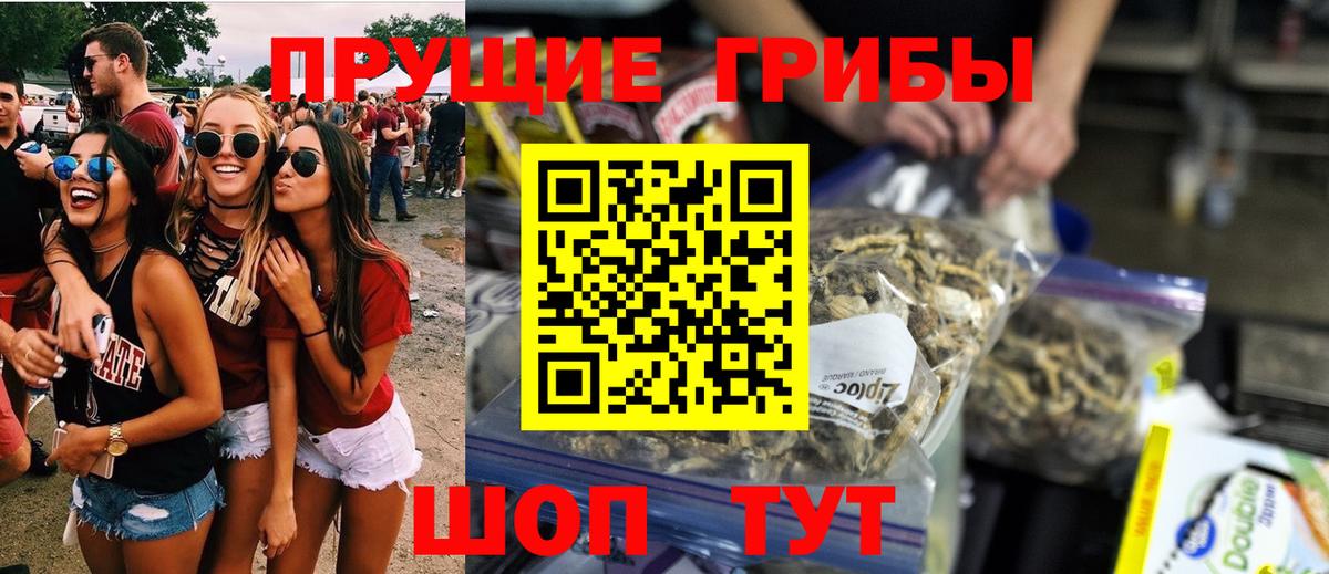 Псилоцибиновые грибы Psilocybe  Вход с VPN  Чайковский  Галлюциногенные грибы Magic Shrooms 