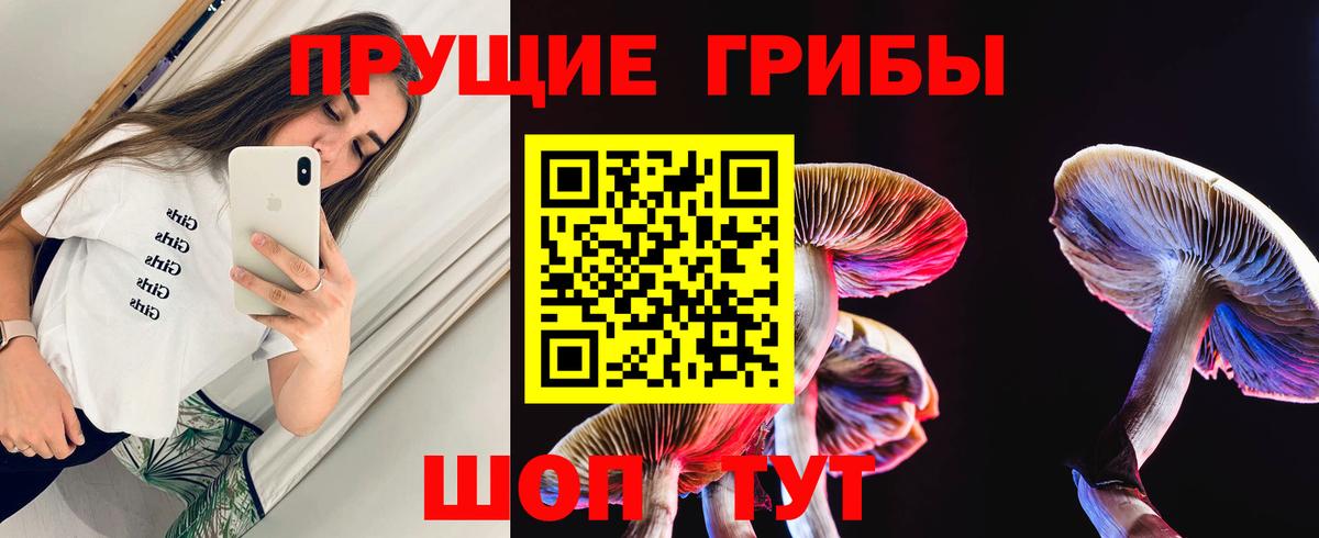 Псилоцибиновые грибы GOLDEN TEACHER Чайковский
